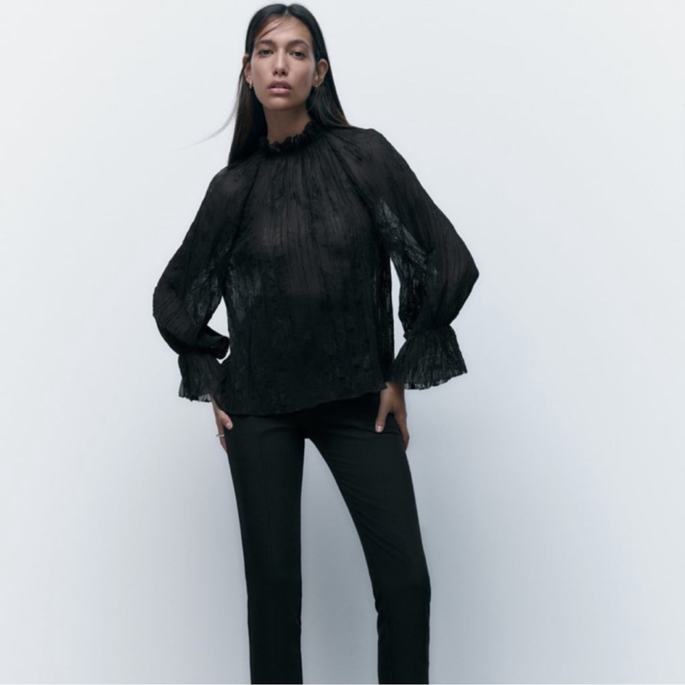 💫 Zara Embroidery Pleated Top - New 💫 - Picture 3 of 14